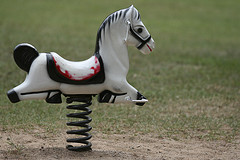 Spring toy horse
