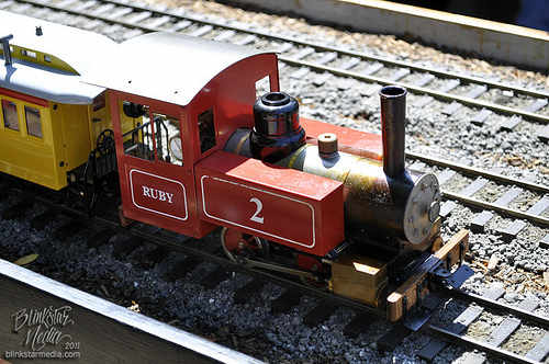 Ardenwood Train Faire model